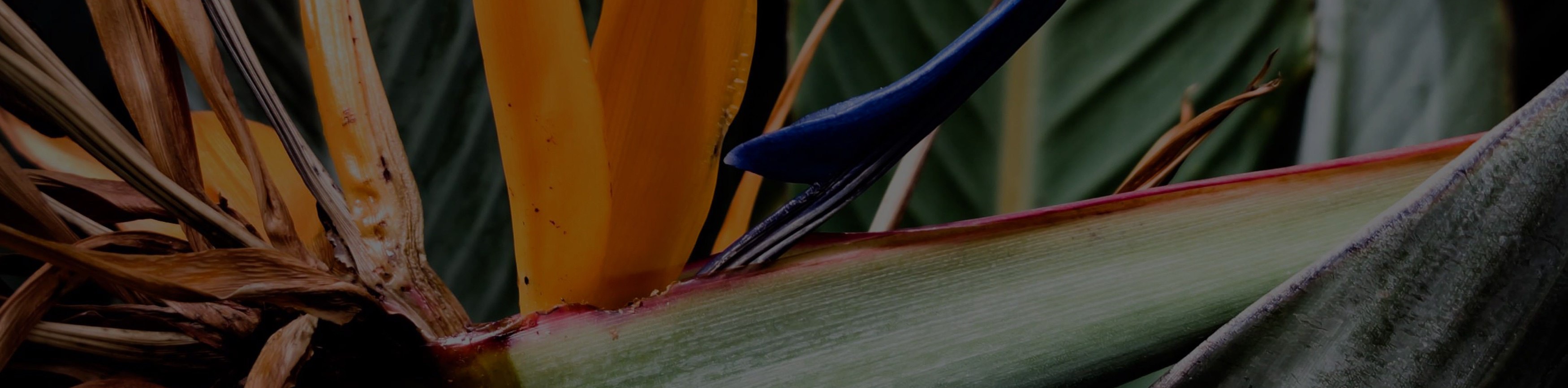 hero background image