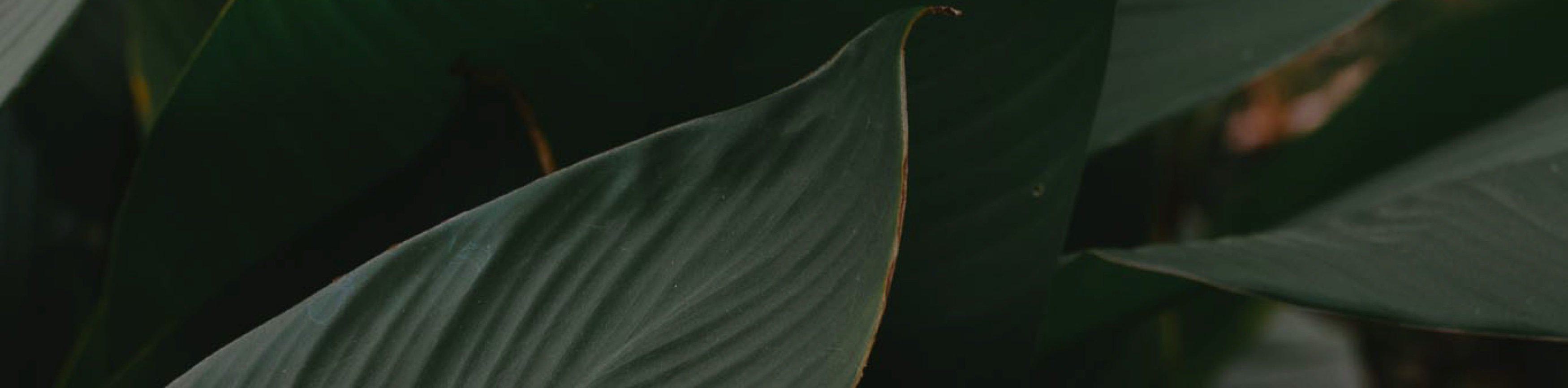 hero background image