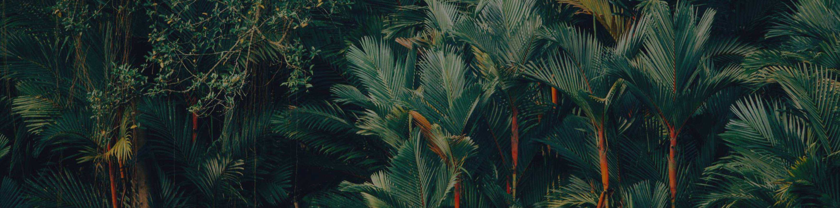 hero background image