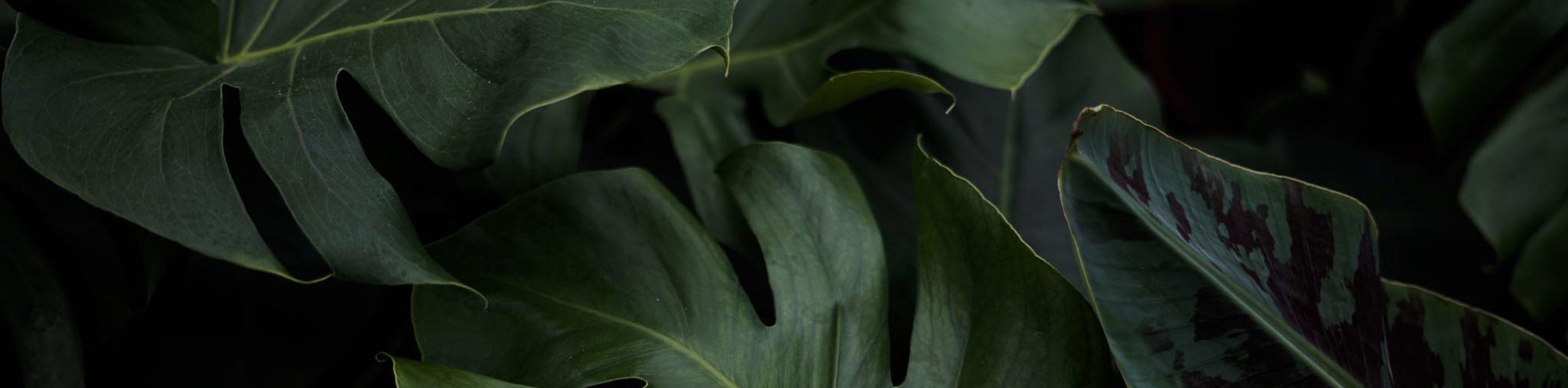 hero background image