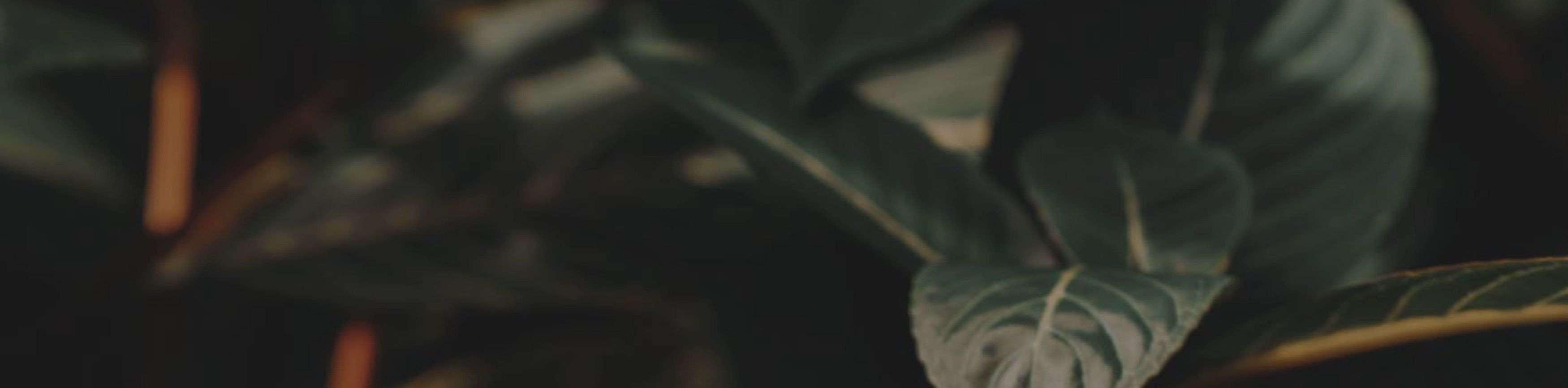 hero background image